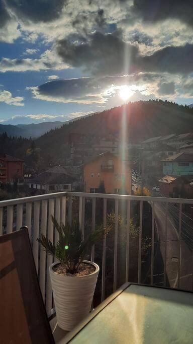 Apartament Erika Premium Sinaia Dış mekan fotoğraf